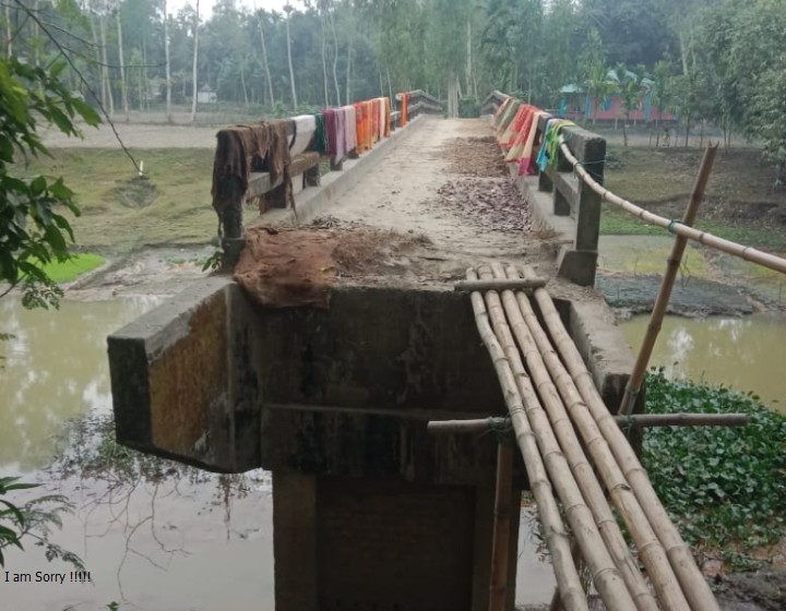 কুড়িগ্রামে ঝুঁকিপূর্ণ বাঁশের সাঁকো: স্কুলগামী শিশুদের জীবনঝুঁকি, ভোগান্তিতে এলাকাবাসী