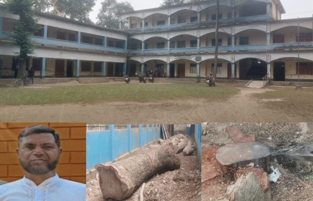 কচাকাটা বহুমুখী উচ্চ বিদ্যালয়ের প্রধান শিক্ষক কর্তৃক ৭ লাখ টাকার গাছ ৯৯ হাজার টাকায় গোপন নিলামে বিক্রির অভিযোগ,তদন্ত আইনগত ব্যবস্থা গ্রহনের দাবী সচেতন মহলের