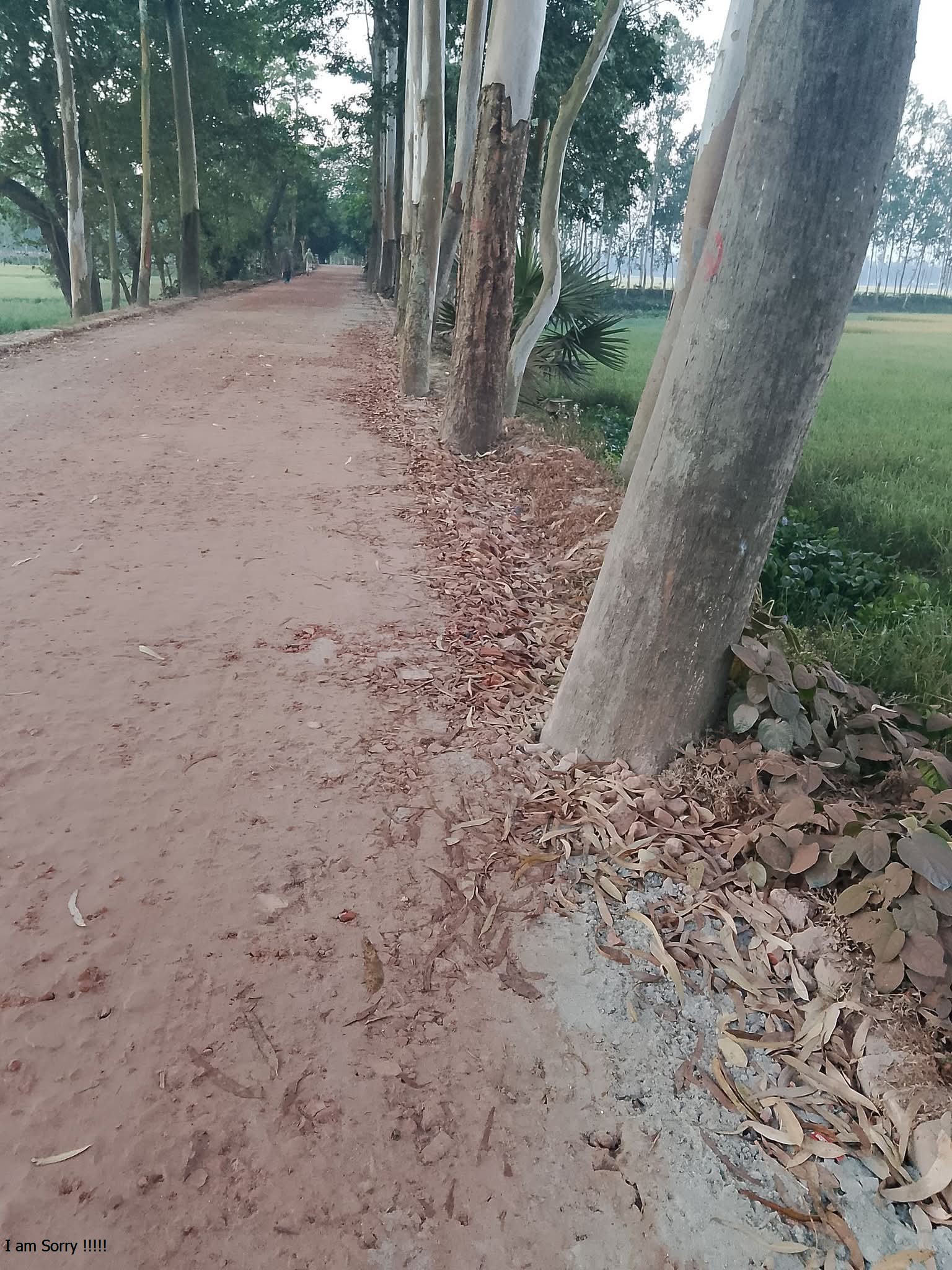 কুড়িগ্রামে সড়ক নির্মাণে ব্যাপক অনিয়মের অভিযোগ, মেয়াদ শেষ হলেও কাজ হয়েছে ৬০ শতাংশ
