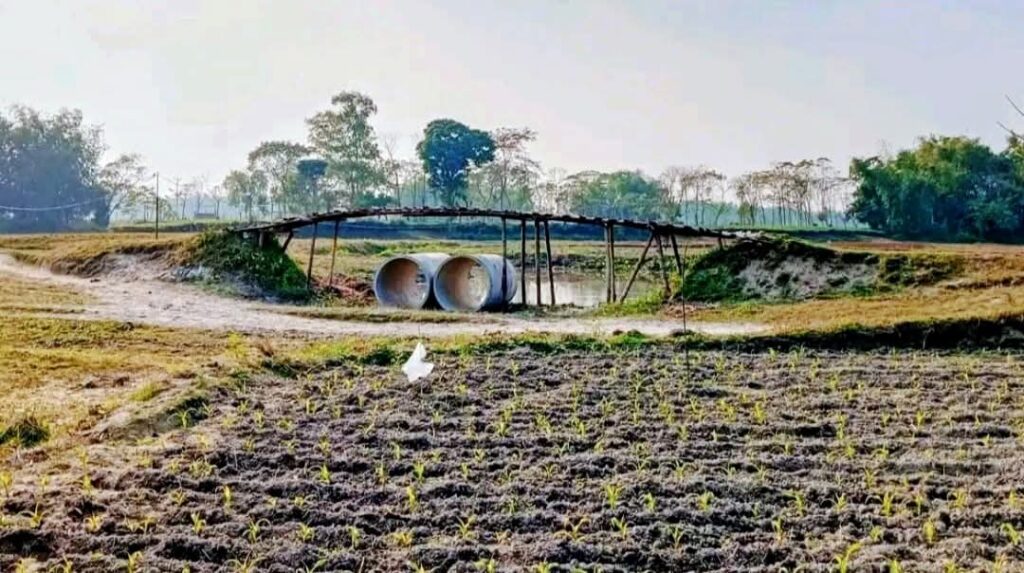 লালমনিরহাটে জিরোলাইনের পাশে বিএসএফের স্থাপনা চেষ্টা: