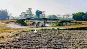 লালমনিরহাটে জিরোলাইনের পাশে বিএসএফের স্থাপনা চেষ্টা: