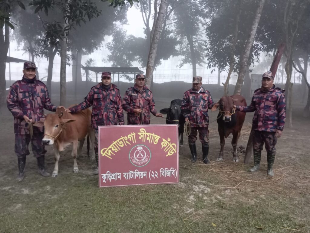 কুড়িগ্রাম সীমান্তে ২২ বিজিবির অভিযানে ৩০ লাখ টাকার গরু,জিরা মসল্লা,মাদক আটক