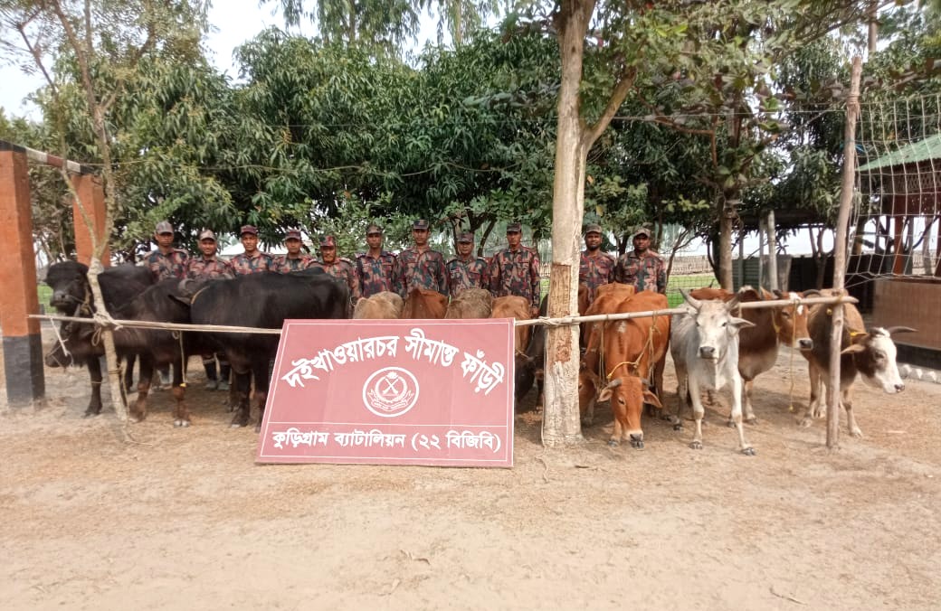 কুড়িগ্রাম সীমান্তে ২২ বিজিবির কঠোর চোরাচালানবিরোধী অভিযান