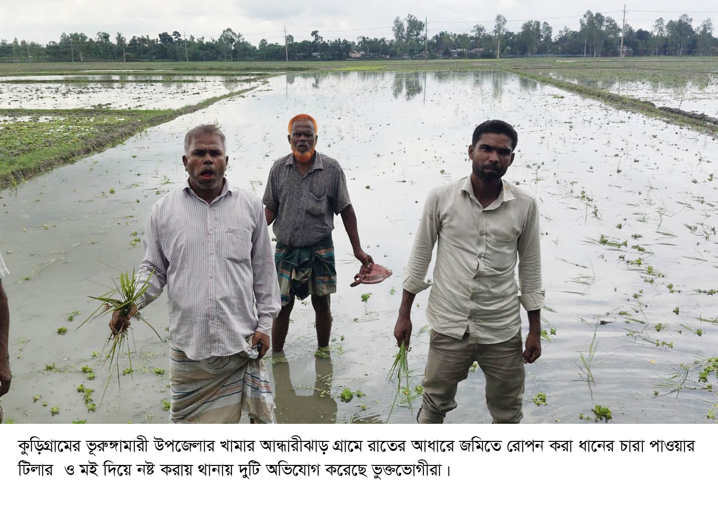 ভূরুঙ্গামারীতে রাতের আধারে পাওয়ার টিলার দিয়ে ধানক্ষেত নষ্ট ও পরিবার অবরুদ্ধ করায় থানায় দুটি অভিযোগ দায়ের করেছে ভুক্তভোগীরা। এলাকায় চরম উত্তেজনা। যেকোন মুহুর্তে সংঘষের আশংকা করছে এলাকাবাসী।